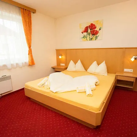 In - Salzburger Land 49982 Apartment Flachau