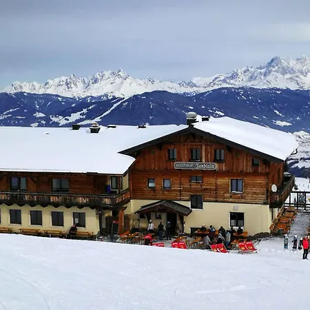 In - Salzburger Land 49982 Apartament